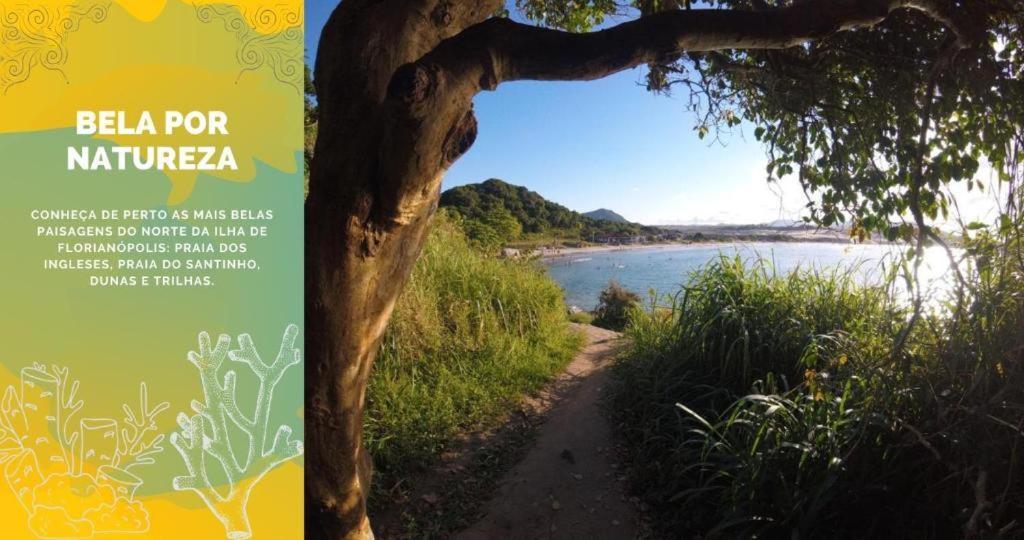 Imobilha - Casa De Praia C/ Piscina Ingleses - Santinho Florianópolis Eksteriør billede